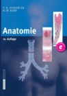 Image for Anatomie