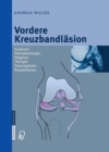 Image for Vordere Kreuzbandlasion: Anatomie Pathophysiologie Diagnose Therapie Trainingslehre Rehabilitation