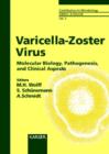Image for Varicella-Zoster Virus : Molecular Biology, Pathogenesis and Clinical Aspects
