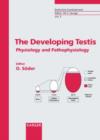 Image for The Developing Testis : Physiology and Pathophysiology