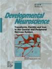 Image for Transferrin, Ferritin and Iron in the Central and Peripheral Nervous System : Special Topic Issue: Developmental Neuroscience 2002, Vol. 24, No. 2-3