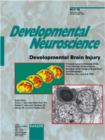 Image for Developmental Brain Injury : 3rd Hershey Conference on Developmental Cerebral Blood Flow and Metabolism, Hershey, Pa., June 2002: Proceedings and Abstracts. Special Topic Issue: Developmental Neurosci