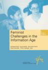 Image for Feminist Challenges in the Information Age : Information as a Social Resource