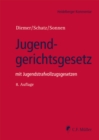 Image for Jugendgerichtsgesetz