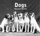 Image for Dogs Tear-off Calendar : 2002