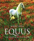 Image for Equus  : the creation of a horse