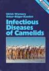 Image for Infectious Diseases of Camelids