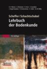 Image for Scheffer/Schachtschabel: Lehrbuch der Bodenkunde