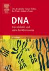 Image for DNA : Das Molekul und seine Funktionsweise