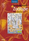 Image for Systematik-Poster: Zoologie (Metazoa - Vielzellige Tiere)