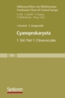 Image for Cyanoprokaryota