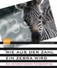Image for Wie aus der Zahl ein Zebra wird : Ein mathematisches Fotoshooting