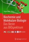Image for Biochemie und molekulare Biologie - Das Beste aus BIOspektrum