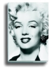 Image for Silver Marilyn : Marilyn and the Camera