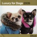 Image for 2009 Luxury for Dogs Grid Calendar