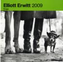 Image for 2009 Elliott Erwitt Dogs Grid Calendar