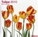 Image for 2010 Tulips Grid Calendar