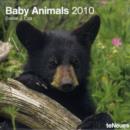 Image for 2010 Baby Animals Grid Calendar