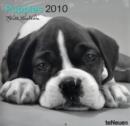 Image for 2010 Puppies Grid Calendar