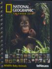 Image for 2010 &quot;Natiional Geographic&quot; Baby Animals Deluxe Diary