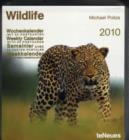 Image for 2010 Wildlife Weekly Postcard Calendar