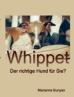 Image for Whippet