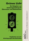 Image for Grunes Licht - Ein Ratgeber zur Existenzgrundung fur UEbersetzer und Dolmetscher