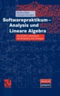 Image for Softwarepraktikum - Analysis und Lineare Algebra : Ein MAPLE-Arbeitsbuch mit vielen Beispielen und Losungen