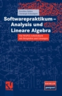 Image for Softwarepraktikum - Analysis und Lineare Algebra: Ein MAPLE-Arbeitsbuch mit vielen Beispielen und Losungen