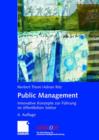 Image for Public Management : Innovative Konzepte zur Fuhrung im offentlichen Sektor