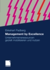 Image for Management by Excellence: Unternehmensressourcen gezielt mobilisieren und nutzen