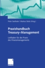 Image for Praxishandbuch Treasury-Management: Leitfaden fur die Praxis des Finanzmanagements