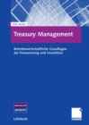 Image for Treasury Management: Betriebswirtschaftliche Grundlagen der Finanzierung und Investition