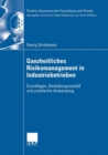 Image for Ganzheitliches Risikomanagement in Industriebetrieben: Grundlagen, Gestaltungsmodell und praktische Anwendung