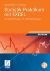 Image for Statistik-Praktikum mit Excel: Grundlegende quantitative Analysen realistischer Wirtschaftsdaten mit vollstandigen Losungen
