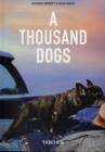 Image for A Thousand Dogs