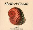 Image for 2012 Shells &amp; Corals Tear Off Calendar