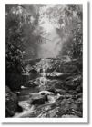 Image for Sebastiao Salgado. Amazonia. Poster &#39;Creek&#39;