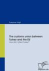 Image for The customs union between Turkey and the EU