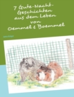 Image for 7 Gutenacht-Geschichten aus dem Leben von Oemmel &amp; Boemmel