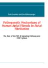 Image for Pathogenetic Mechanisms of Human Atrial Fibrosis in Atrial Fibrillation