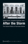 Image for After the storm  : the cultural politics of Hurricane Katrina