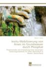 Image for Insitu-Mobilisierung von Arsen im Grundwasser durch Phosphat