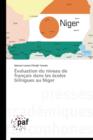 Image for Evaluation Du Niveau de Francais Dans Les Ecoles Bilingues Au Niger