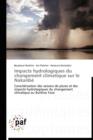 Image for Impacts Hydrologiques Du Changement Climatique Sur Le Nakanbe