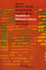 Image for Disability in Different Cultures: Reflections on Local Concepts