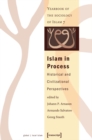 Image for Islam in Process: Historical and Civilizational Perspectives (Yearbook of the Sociology of Islam 7)