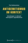 Image for Antisemitismus im Kontext: Erkundungen in ethnisch heterogenen Jugendkulturen