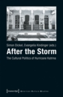 Image for After the storm: the cultural politics of Hurricane Katrina