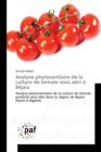 Image for Analyse Phytosanitaire de la Culture de Tomate Sous Abri A Bejaia